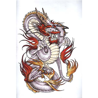 Colored Dragon On White Background Design Water Transfer Temporary Tattoo(fake Tattoo) Stickers NO.11140